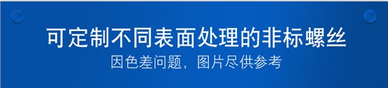 非标定做螺丝,椭圆形螺丝,非标螺丝定做生产厂