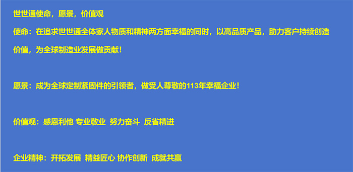 世世通使命、愿景、价值观 世世通使命、愿景、价值观
